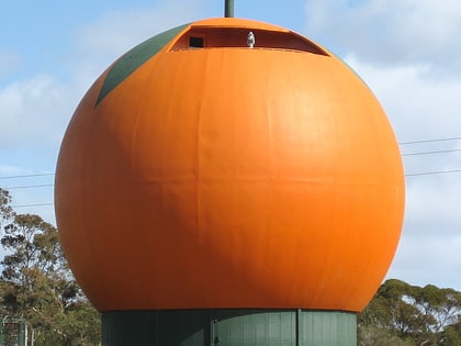 big orange