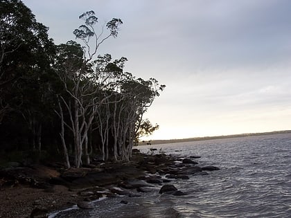 lake cootharaba noosa biosphere reserve