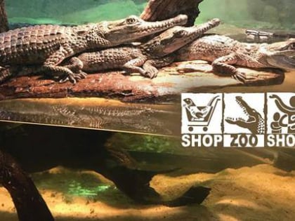 canberra reptile zoo