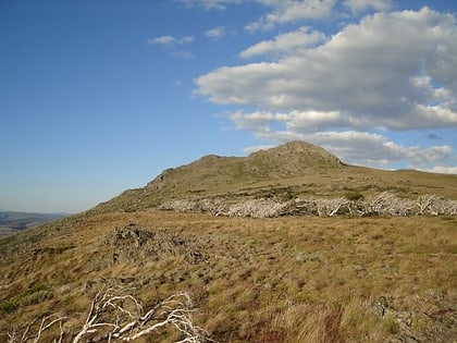 mount jagungal kosciuszko nationalpark