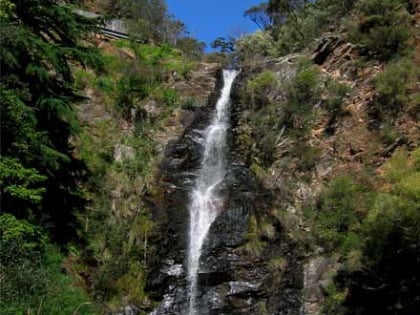 first falls parque de conservacion cleland