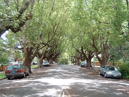 new farm brisbane