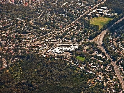 frenchs forest sidney