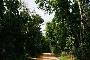 park narodowy kutini payamu