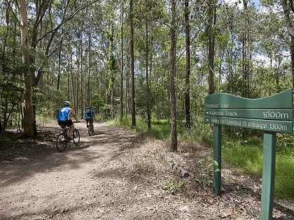 Mount Coot-tha Forest