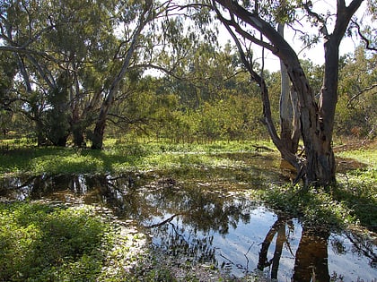Rezerwat Przyrody Macquarie Marshes