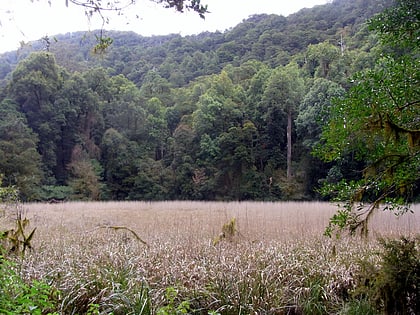 burraga swamp barrington tops nationalpark