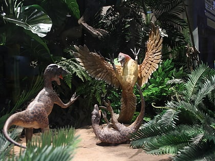 musee national des dinosaures canberra