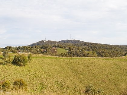 Mount Bonython