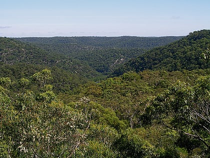berowra valley national park sydney