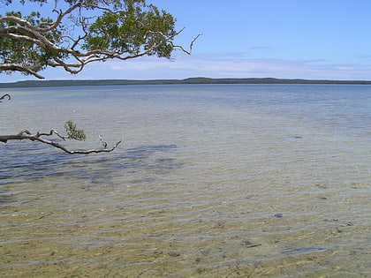 lake weyba noosa biosphere reserve