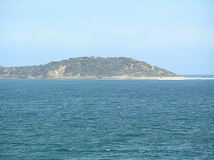point nepean mornington peninsula and western port biosphere reserve