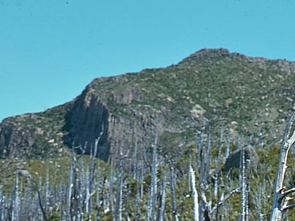 Mount Sedgwick