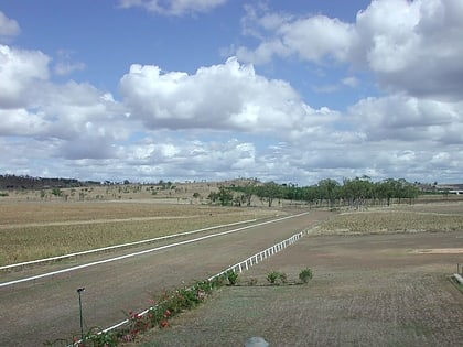 gayndah racecourse