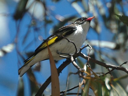 Clarkesdale Bird Sanctuary