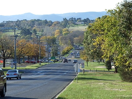 gisborne