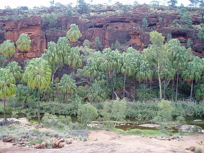 palm valley finke gorge national park