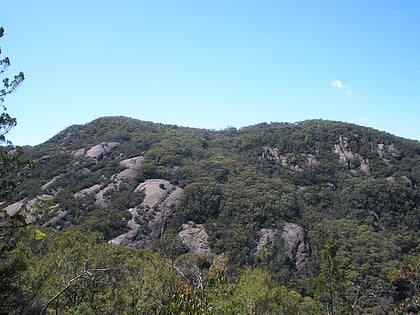 park narodowy burrowa pine mountain