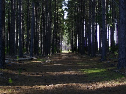 kuitpo forest