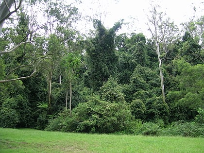 Parque nacional Cottan-Bimbang