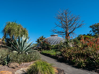 Jardín botánico de Brisbane del Monte Coot-tha