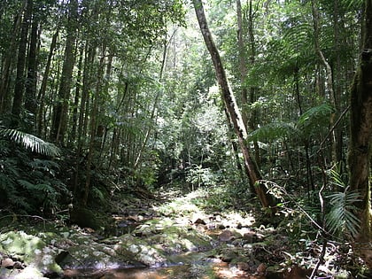 paluma range national park