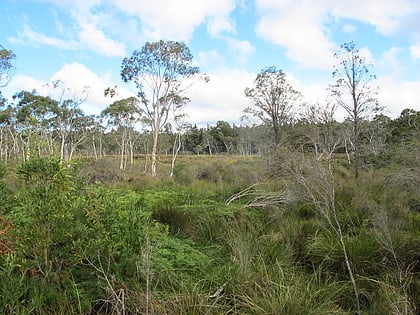 Stingray Swamp Flora Reserve