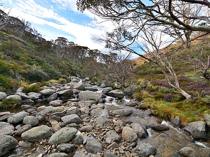 parque nacional kosciuszko