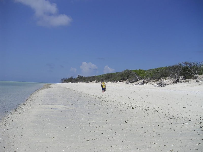 north west island capricornia cays national park