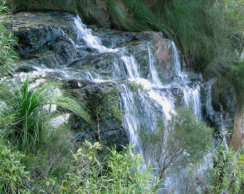 goomoolahra falls springbrook nationalpark
