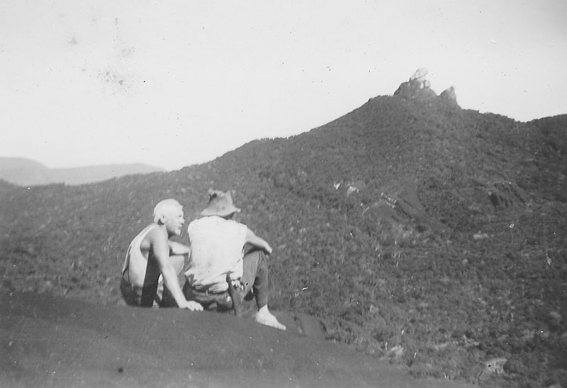 mount pieter botte fan palm reserve