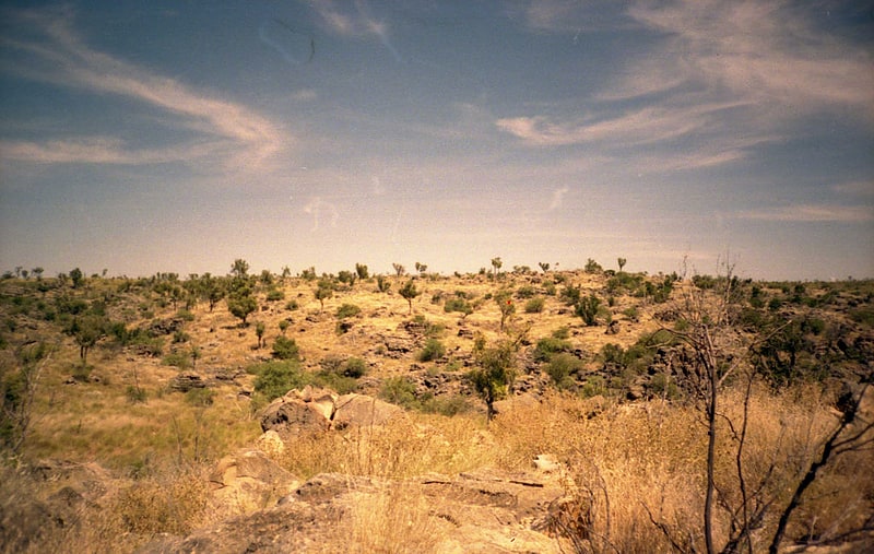 riversleigh parc national boodjamulla