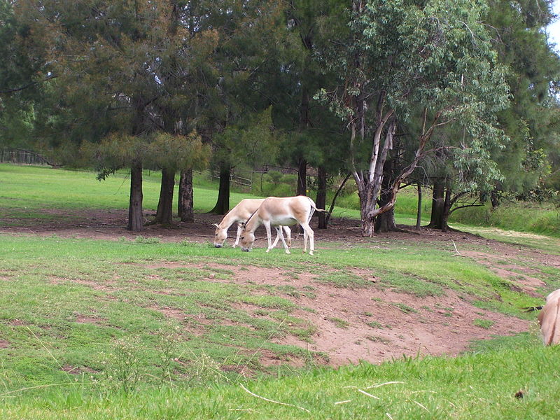 Taronga Western Plains Zoo