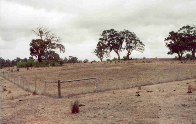 Sunbury earth rings