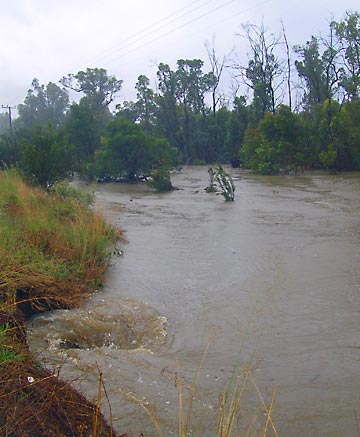 Mount Barker