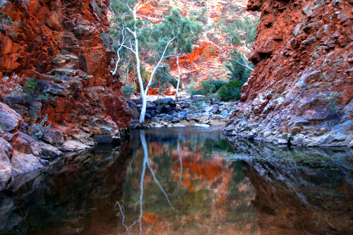 Cordillera MacDonnell