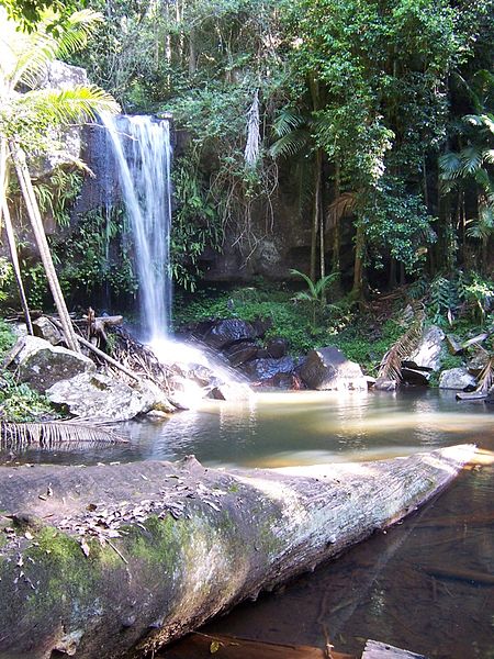 Tamborine National Park