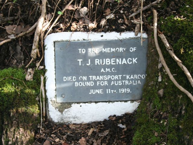 Eumundi Bamboo