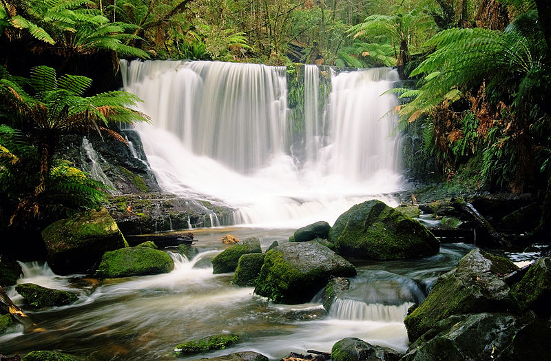 Horseshoe Falls, Mt Field National Park