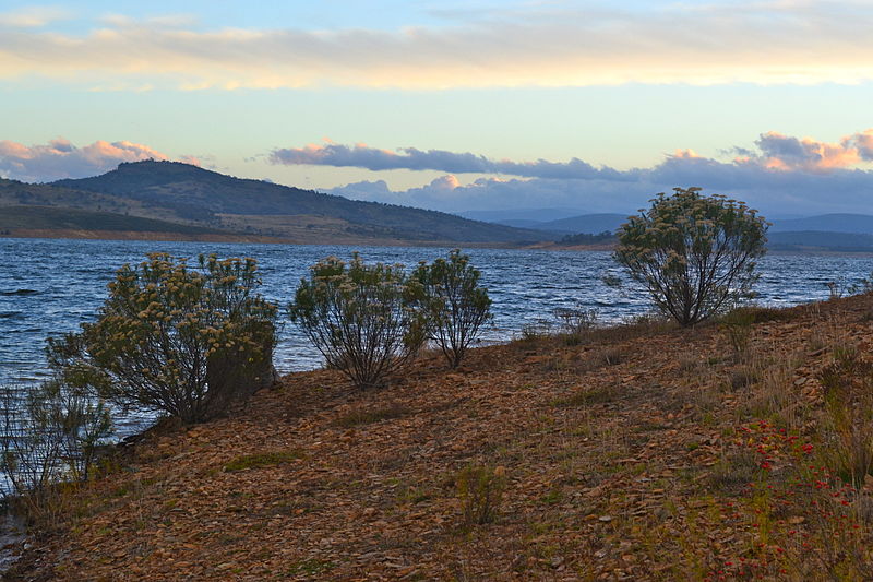 Eucumbene Dam