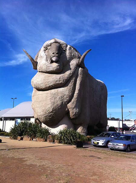 The Big Merino