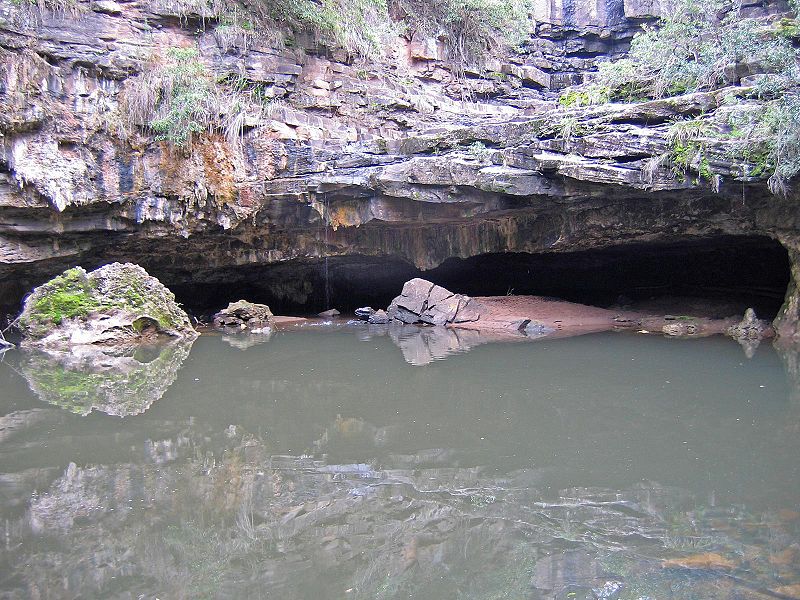 Mitchell River National Park