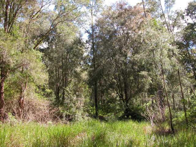 Pipers Creek Lime Kilns