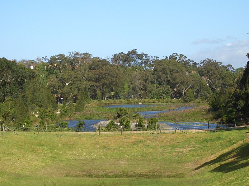Moore Reserve