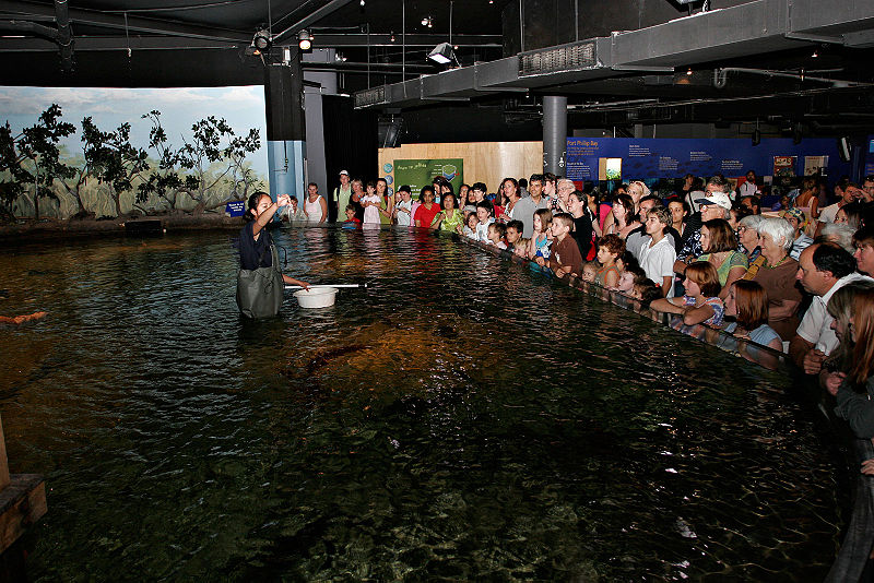 Acuario de Melbourne