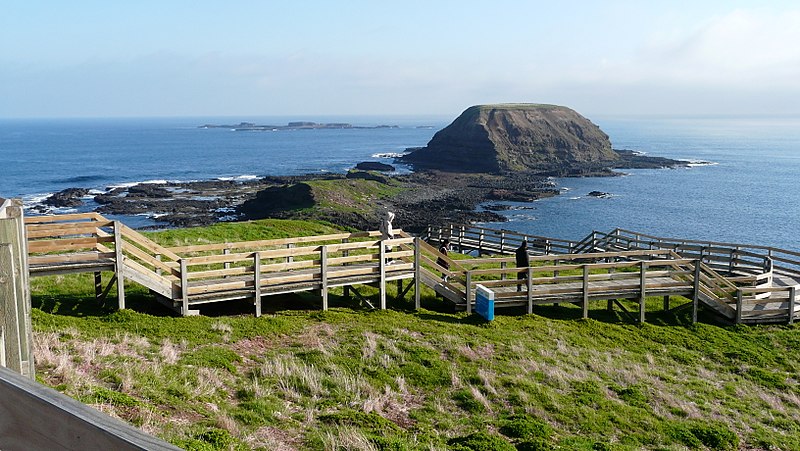 Park Krajobrazowy Phillip Island