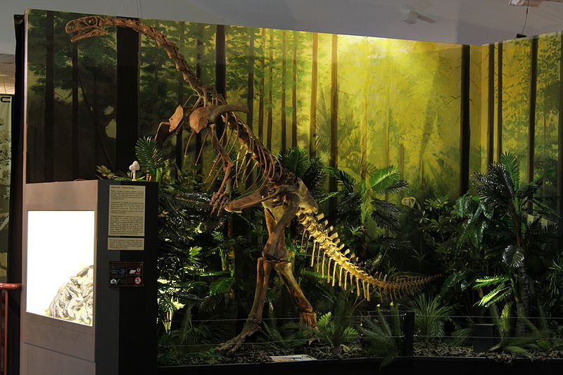 Musée national des dinosaures