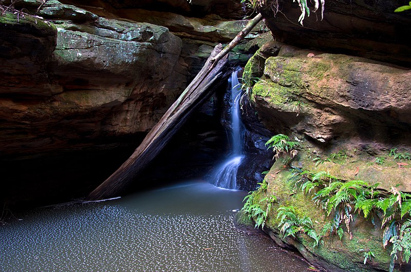 Parque nacional Morton