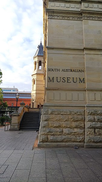 Musée d'Australie-Méridionale