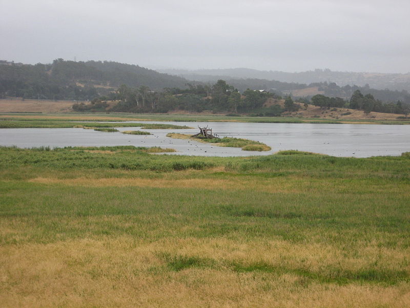 Tamar River Conservation Area